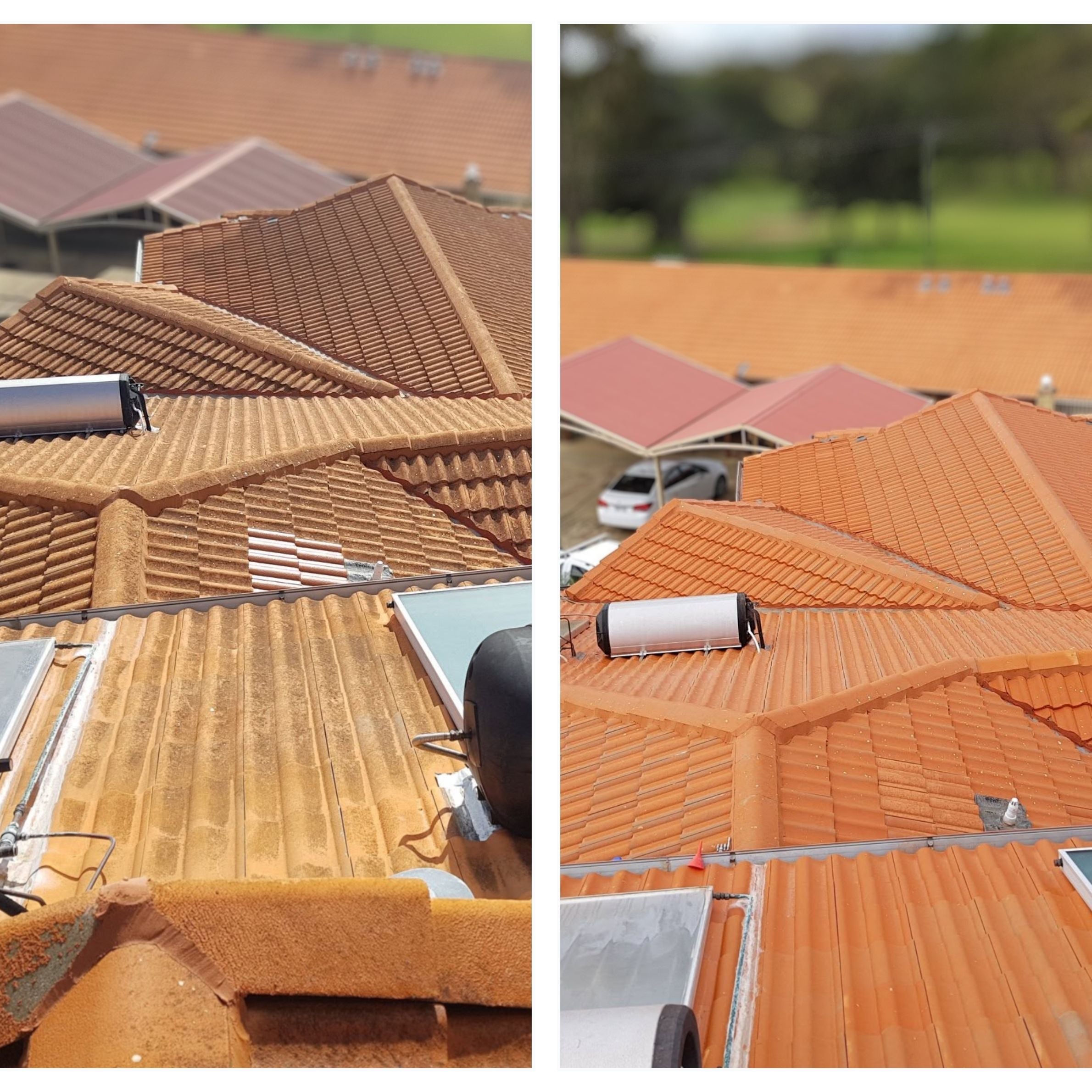 Roof Cleaning Explained